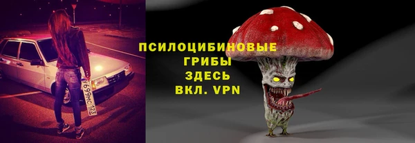 Альфа ПВП Арсеньев
