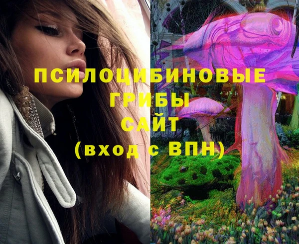 таблы Армянск