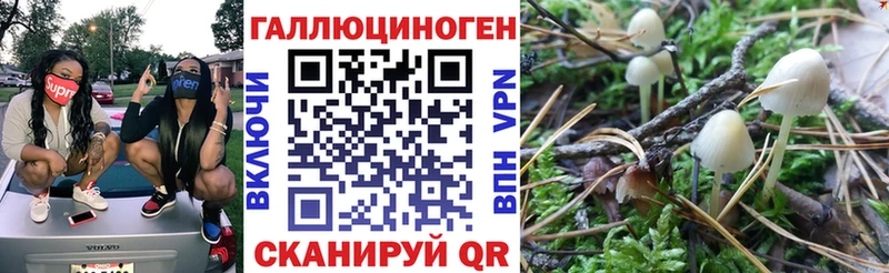 darknet клад  как найти   Мурманск  Галлюциногенные грибы GOLDEN TEACHER 
